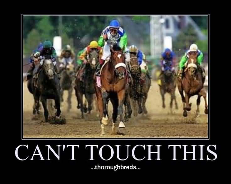 Kentucky Derby Meme Funny Image Photo Joke 03