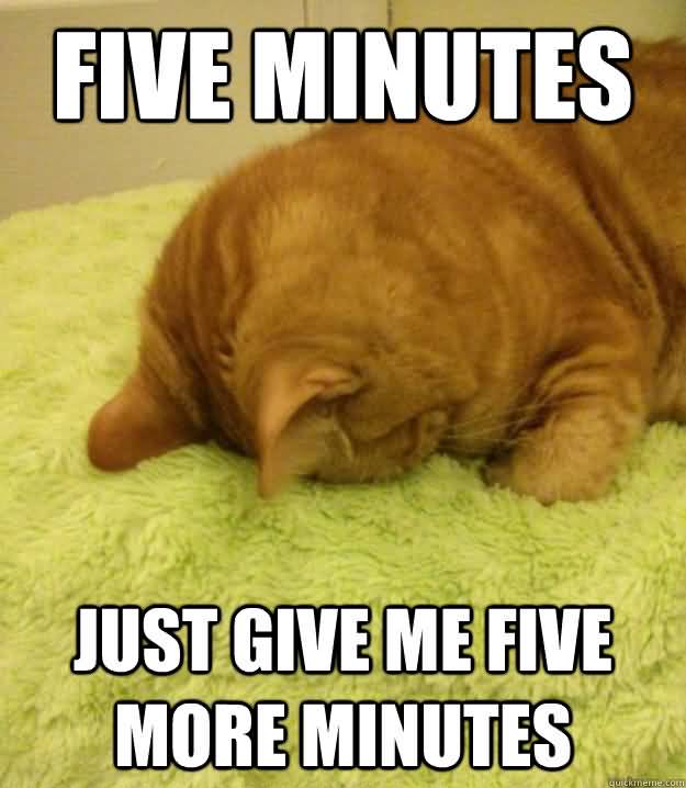 Monday Cat Meme Funny Image Photo Joke 03
