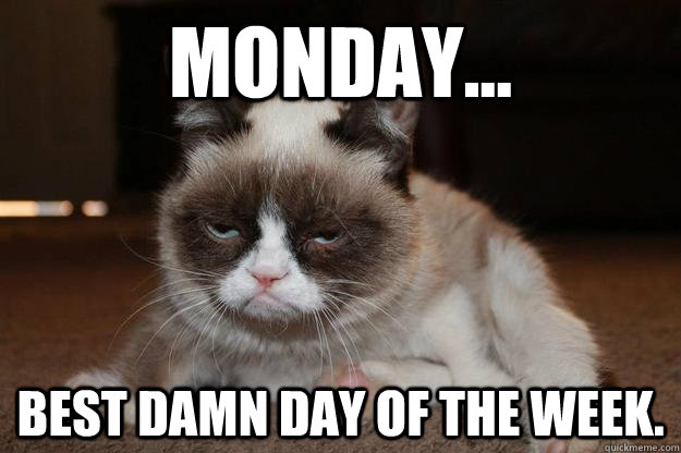 Monday Cat Meme Funny Image Photo Joke 05