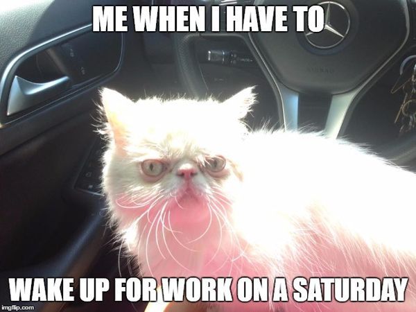 Most Funniest Work on Saturday Memes Image