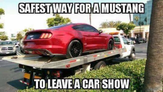Mustang Meme Image Photo Joke 12