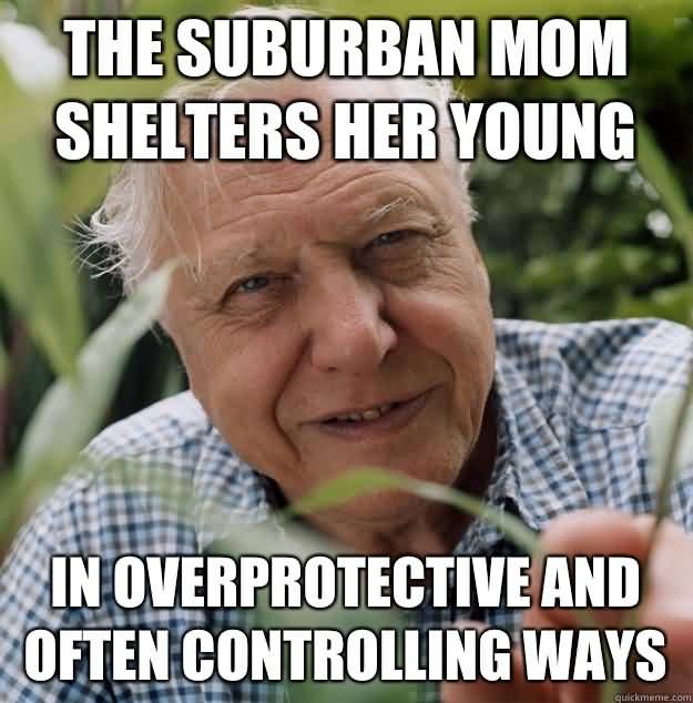 Overprotective Mom Meme Funny Image Photo Joke 04