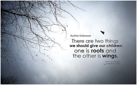 Roots And Wings Quote Meme Image 17