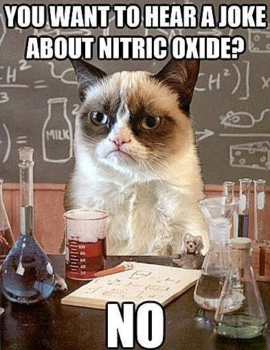 Science Cat Meme Funny Image Photo Joke 06