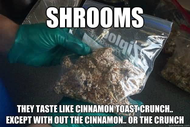 Shrooms Meme Funny Image Photo Joke 01