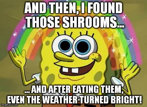 Shrooms Meme Funny Image Photo Joke 11