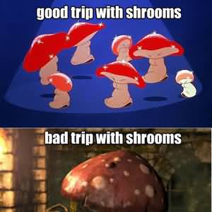 Shrooms Meme Funny Image Photo Joke 13
