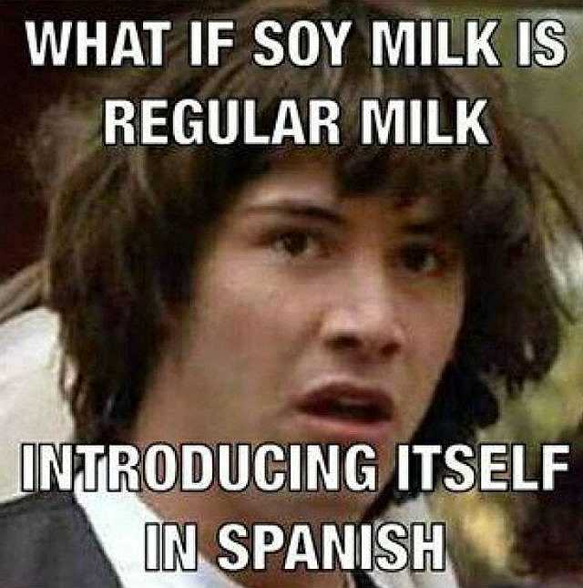 15 Top Spain Meme Jokes Pictures and Images | QuotesBae