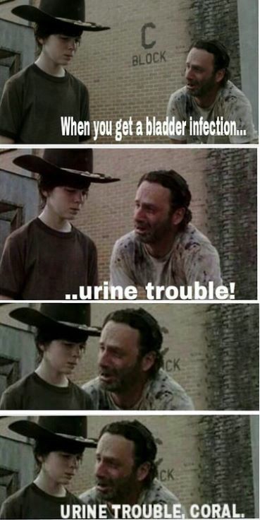 Walking Dead Memes Coral Joke Image 08