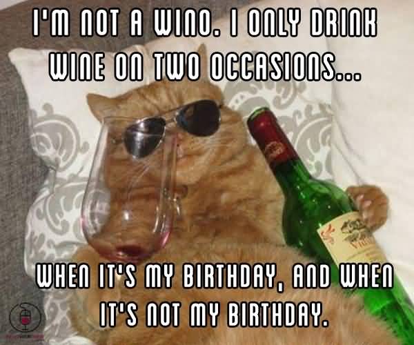 15 Top Wine Meme Images Jokes and Pictures