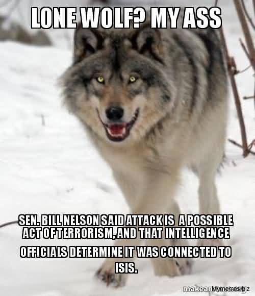 Wolf Meme Funny Image Photo Joke 05