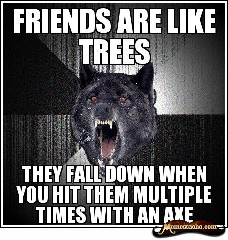 Wolf Meme Funny Image Photo Joke 10