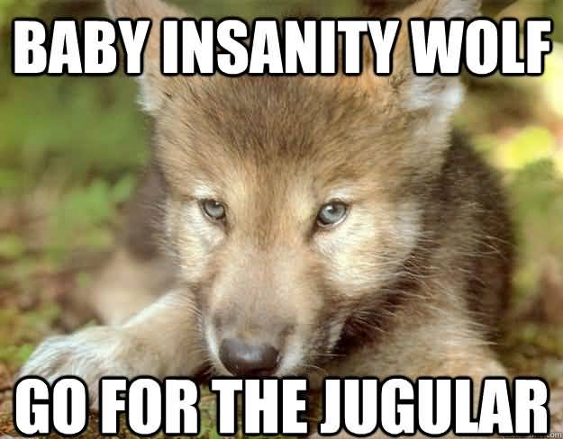 Wolf Meme Funny Image Photo Joke 15