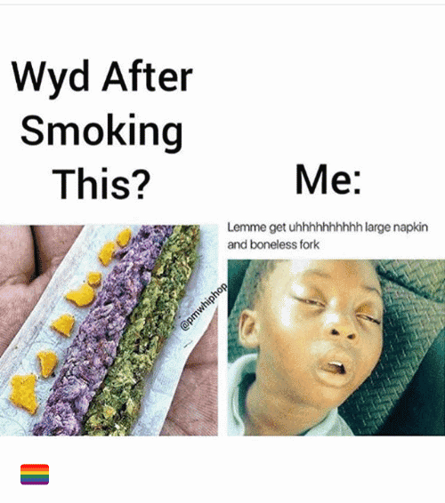 Wyd After Smoking This Meme Photo Joke 03
