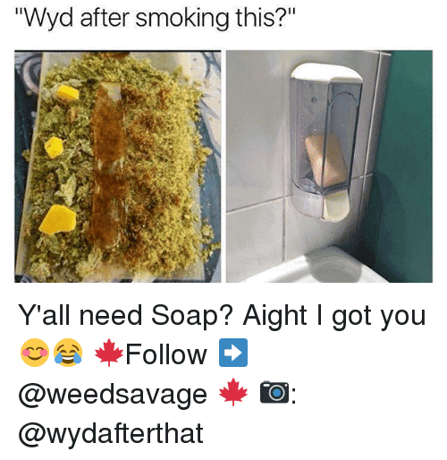Wyd After Smoking This Meme Photo Joke 04
