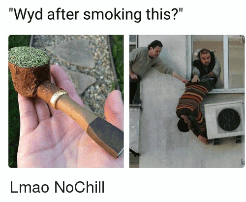 Wyd After Smoking This Meme Photo Joke 14