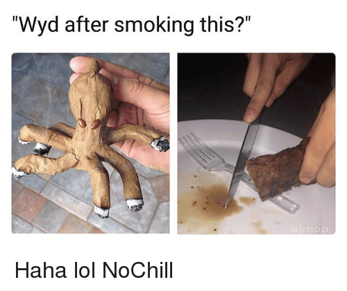 Wyd After Smoking This Meme Photo Joke 15