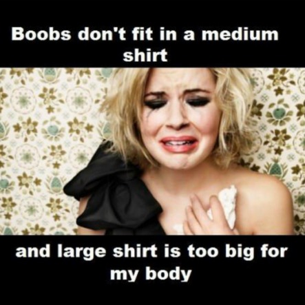 Big Boobs Meme Funny Image Photo Joke 07