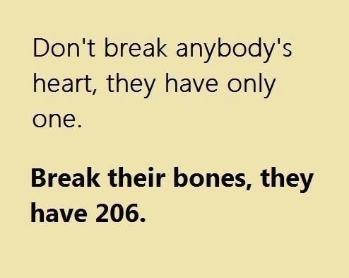 Don't Break Anybody's Heart, They Have Only One. Break Their Bones, They Have 206