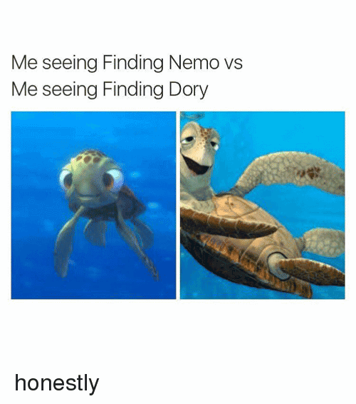 Finding Dory Meme Funny Image Photo Joke 09