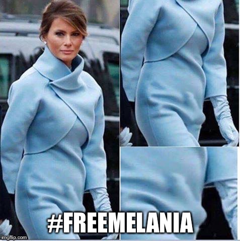 Free Melania Meme Funny Image Photo Joke 10