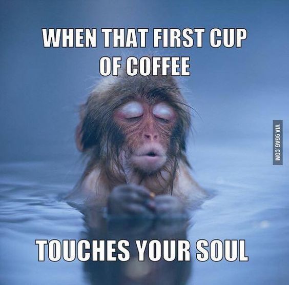 Funny Coffee Meme Image Photo Joke 07