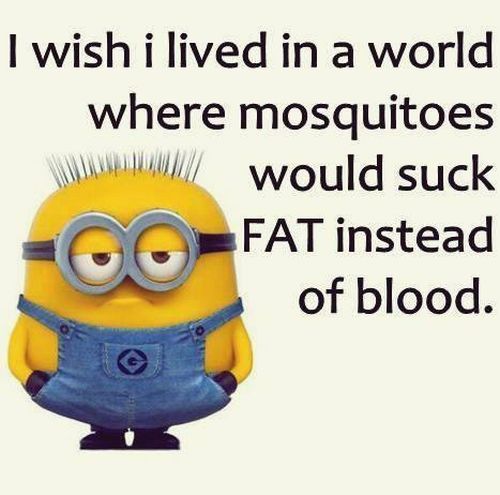 Funny Fat Chick Quotes Meme Image 12