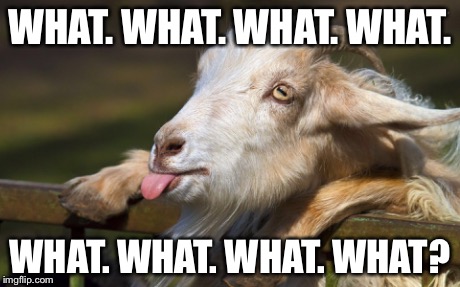 Funny Goat Meme Image Photo Joke 02