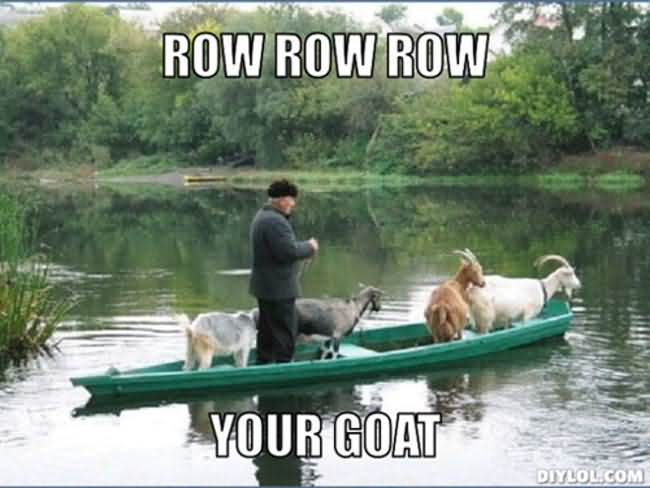 Funny Goat Meme Image Photo Joke 04