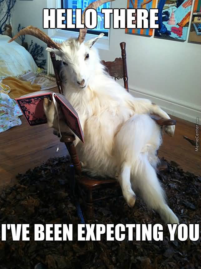 Funny Goat Meme Image Photo Joke 05
