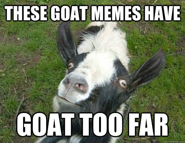 Funny Goat Meme Image Photo Joke 06