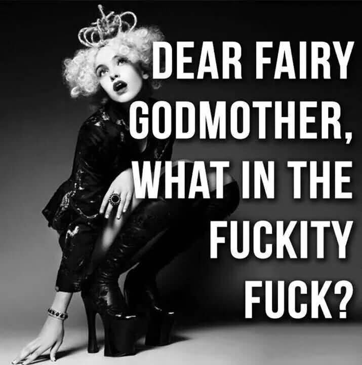 Funny Godmother Quotes Meme Image 12