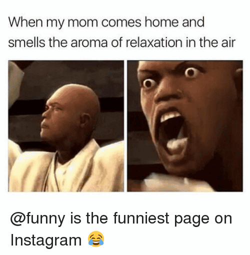 Funny Meme On Instagram Image Photo Joke 10