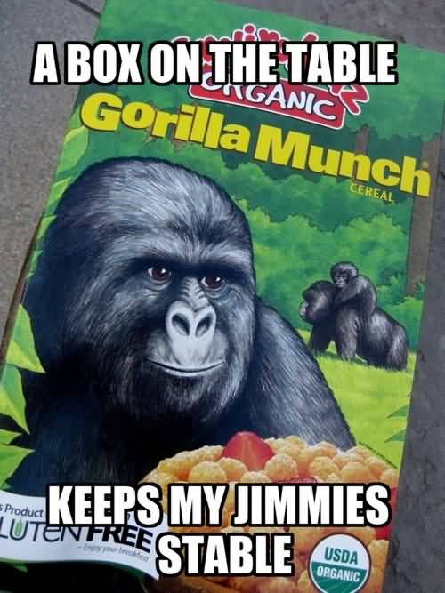 Gorilla Munch Meme Funny Image Photo Joke 02