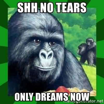 Gorilla Munch Meme Funny Image Photo Joke 05