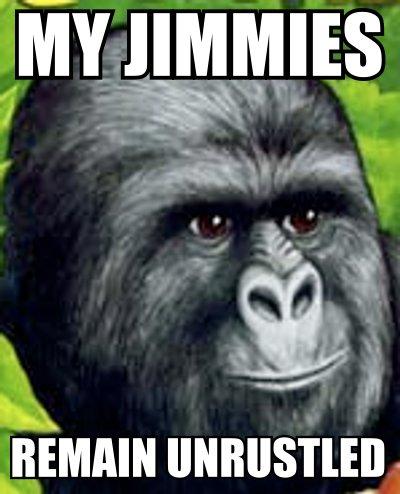 Gorilla Munch Meme Funny Image Photo Joke 09