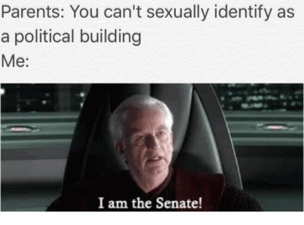 I Am The Senate Meme Image Photo Joke 06