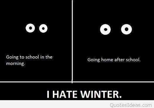 I Hate Winter Quotes Meme Image 05