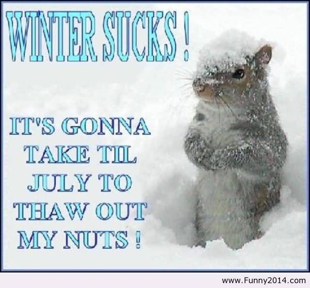 I Hate Winter Quotes Meme Image 06