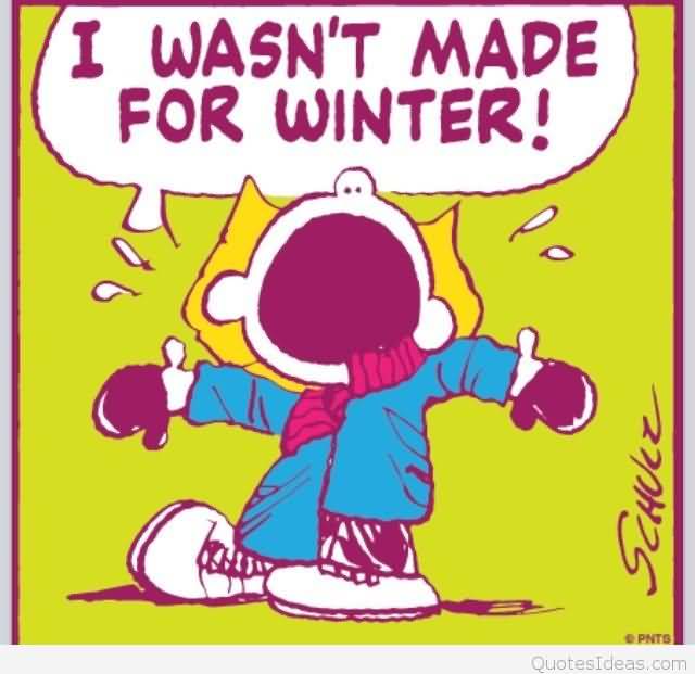 I Hate Winter Quotes Meme Image 21