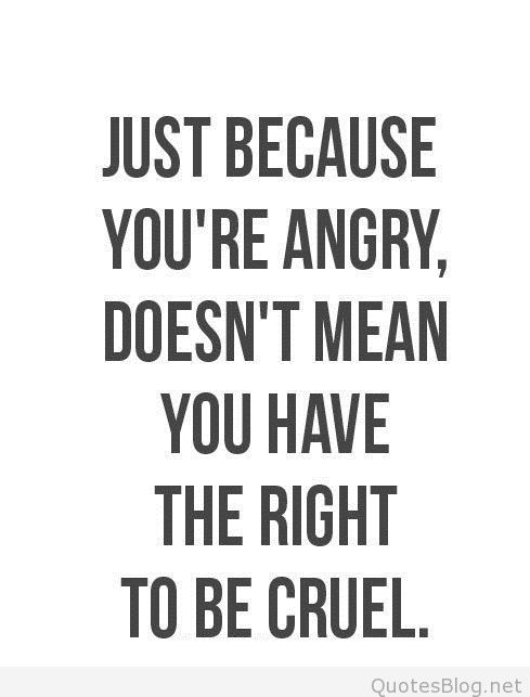 Just Because You're Angry, Doesn't Mean You Have The Right To Be Cruel