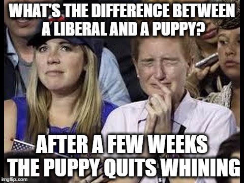 Liberals Crying Meme Funny Image Photo Joke 06