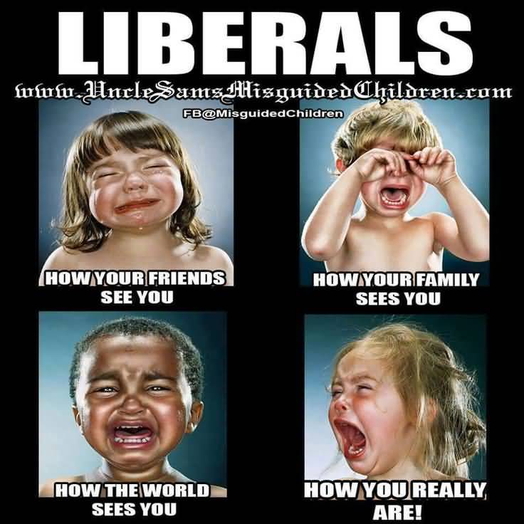 Liberals Crying Meme Funny Image Photo Joke 11