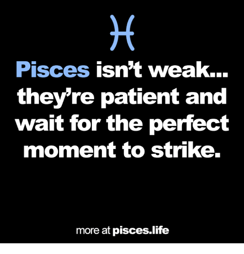15 Top Pisces Meme Jokes Images and Pictures