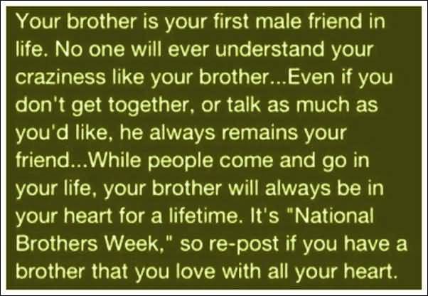 Quotes About Loving Your Brother 11