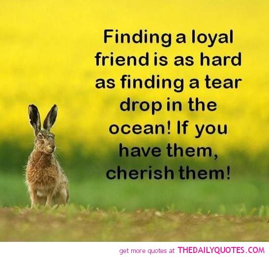 Quotes About Loyalty And Friendship 07