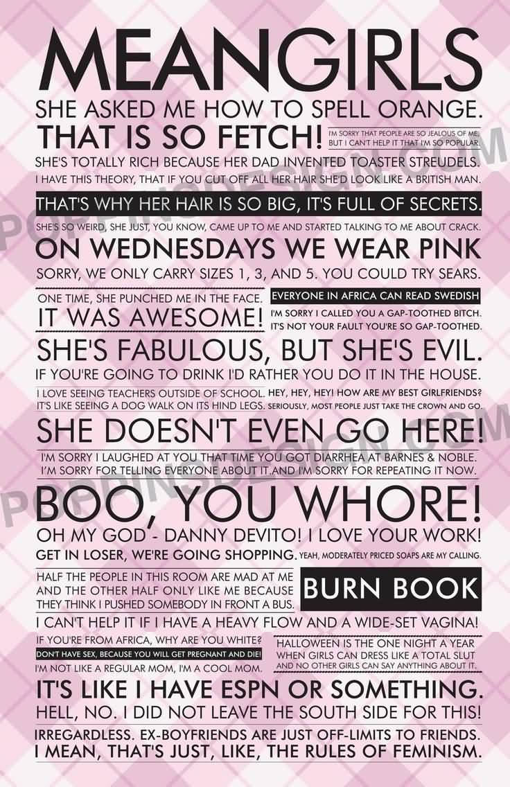 Quotes About Mean Girls And Drama Meme Image 13