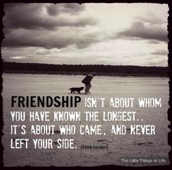 Quotes About Mending Friendships 02
