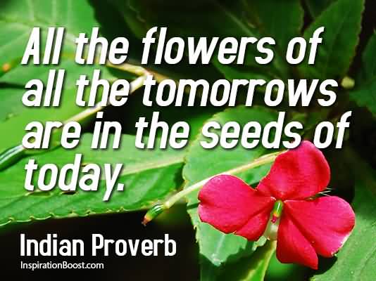 Quotes About Planting Seeds For Life 05