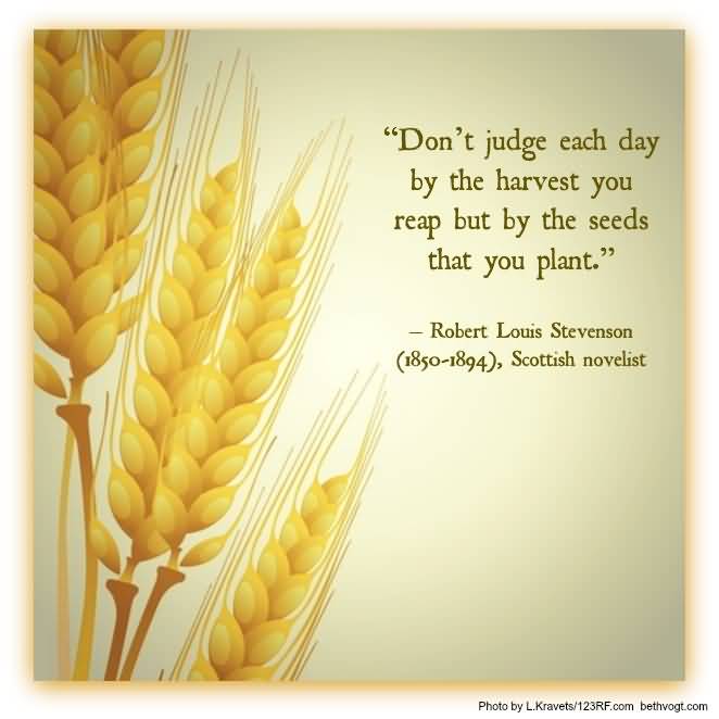 Quotes About Planting Seeds For Life 07